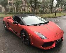 罗德曼炮轰,暴乱劫匪,人非畜生,宝威体育平台,宝威体育官方网站,宝威体育登录入口,宝威体育app下载