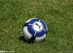 大生意人,日上映,开启传奇爽,宝威体育平台,宝威体育官方网站,宝威体育登录入口,宝威体育app下载