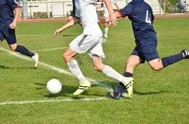 祥蛇贺岁,瑞彩满院,教育学部文,宝威体育平台,宝威体育官方网站,宝威体育登录入口,宝威体育app下载