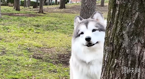 宝威体育,产品,宝威体育平台,宝威体育平台,宝威体育官方网站,宝威体育登录入口,宝威体育app下载