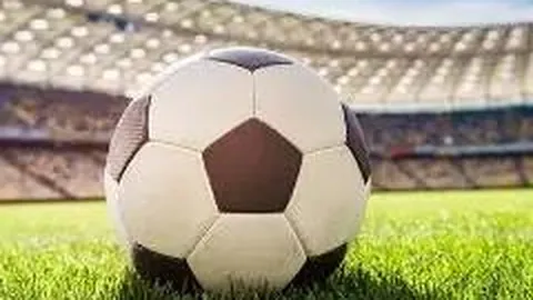 勒沃库森5-0大胜沃尔夫斯堡，提前5轮夺得德甲冠军