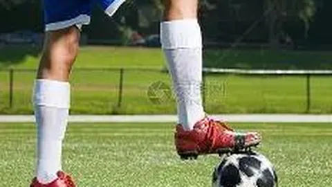 宝威体育 产品 104442 3gp