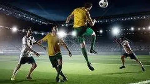 宝威体育 产品 104503 wk7