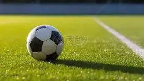 宝威体育 产品 124415 8mc