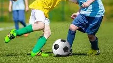 宝威体育 资讯 125311 5r1