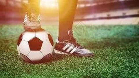 宝威体育 产品 095703 446