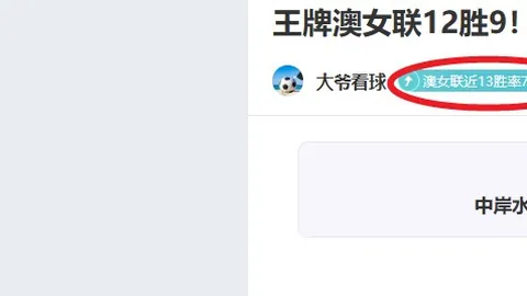 “迈阿密大师赛：丰塞卡败北德米纳尔，兹维列夫和弗里茨顺利挺进下一轮”